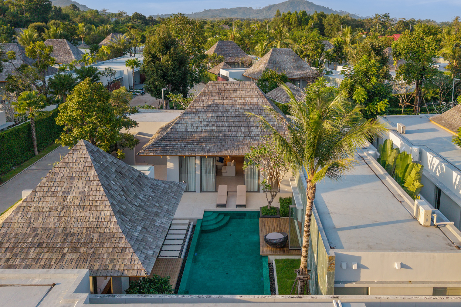 อัญชันฟลอร่า (ID 559)