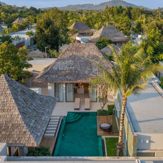 อัญชันฟลอร่า (ID 559)