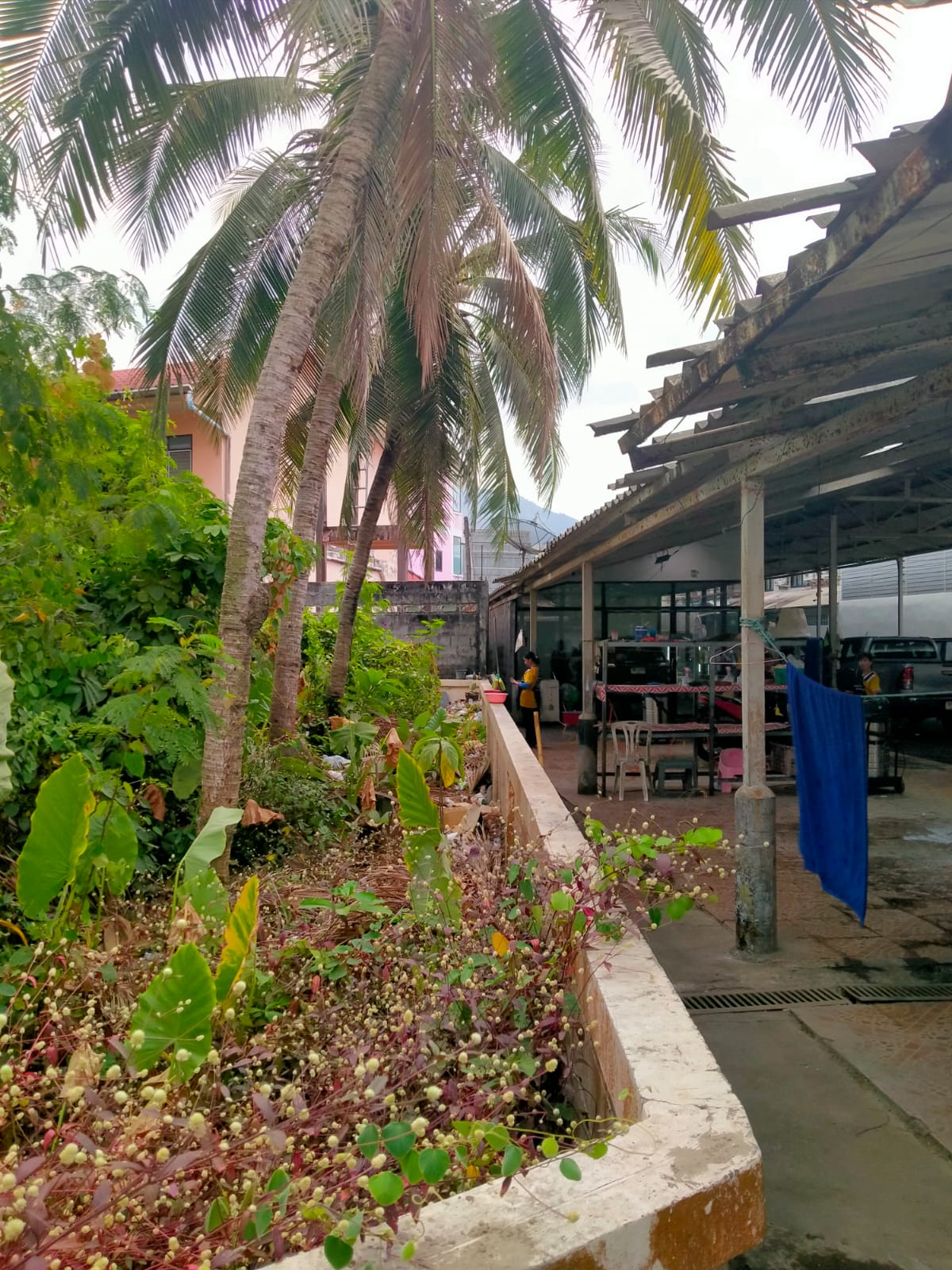 Продажа земли рядом с Boat Avenue (ID 419)