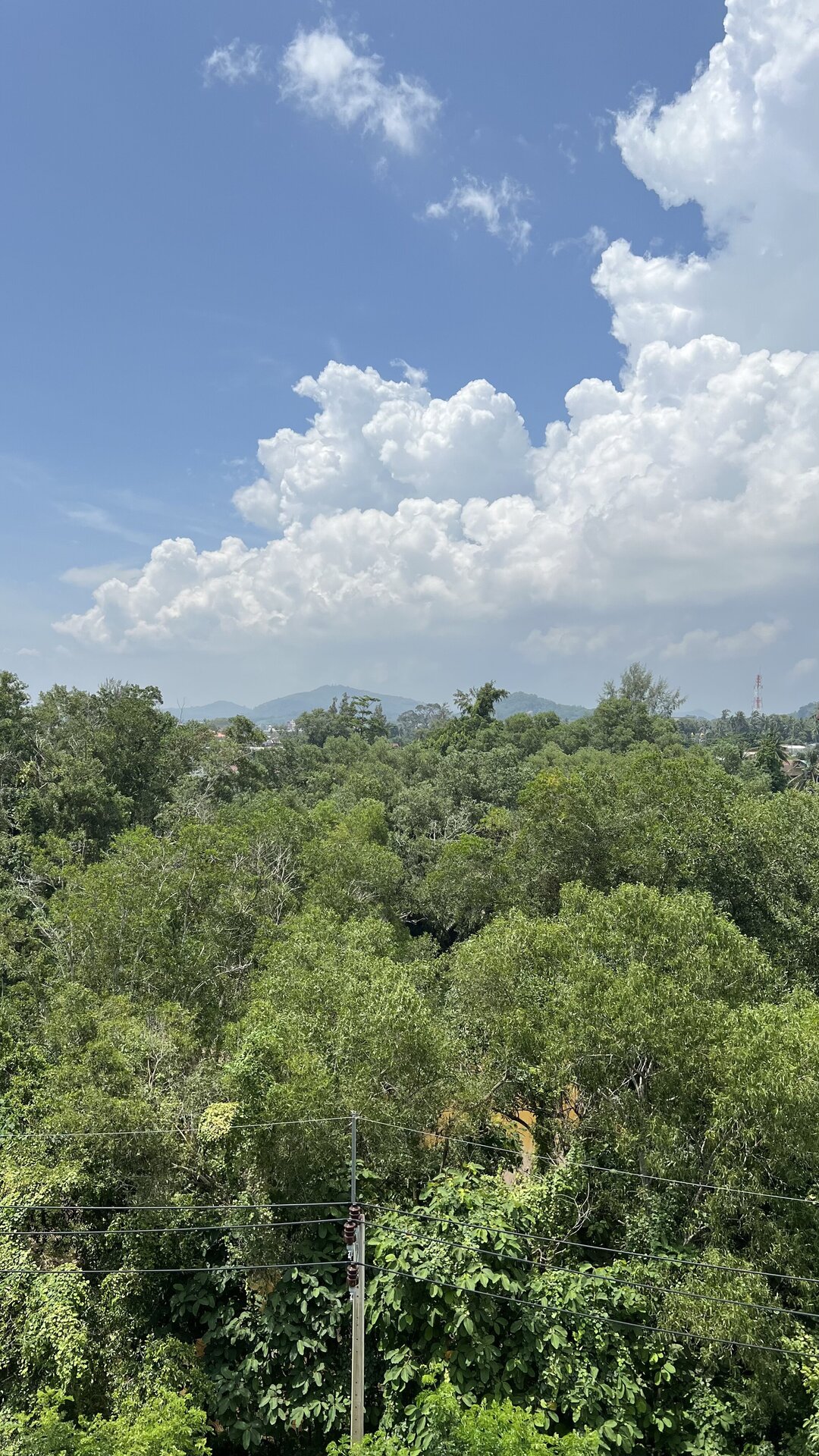 The Title Halo 1 (ID 304)