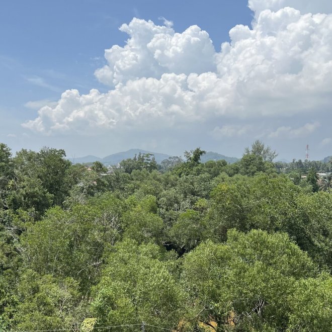 The Title Halo 1 (ID 304)