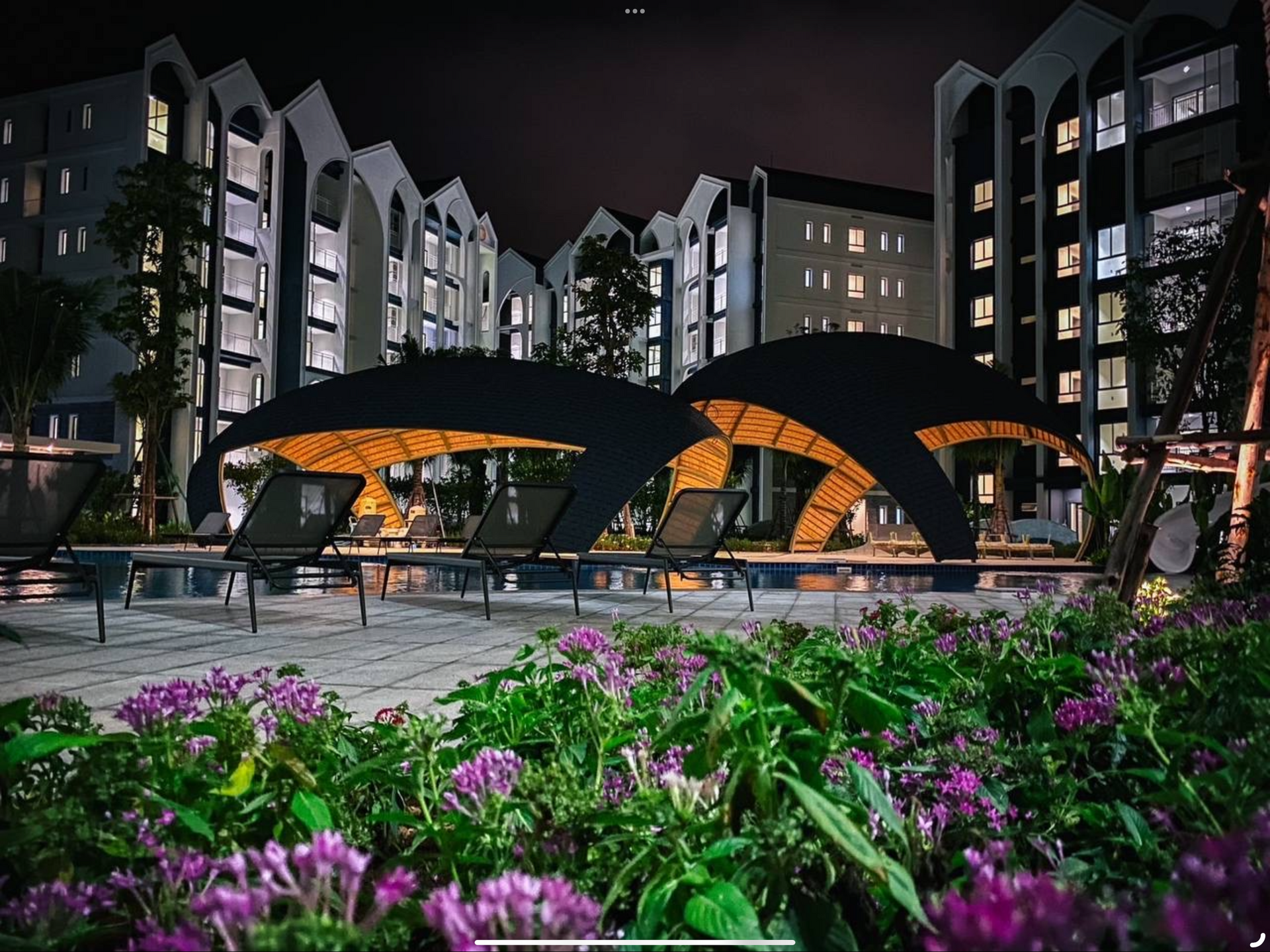 The Title Halo (ID 581)