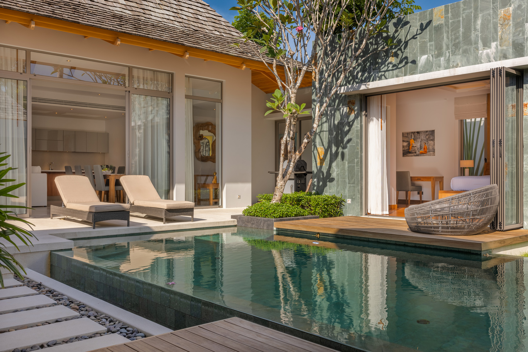 อัญชันฟลอร่า (ID 559)