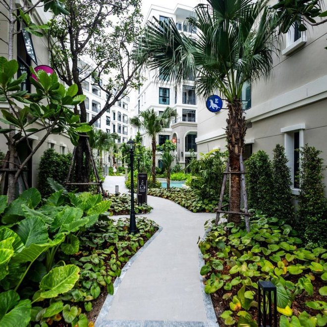 The Title Legendary (ID 589)