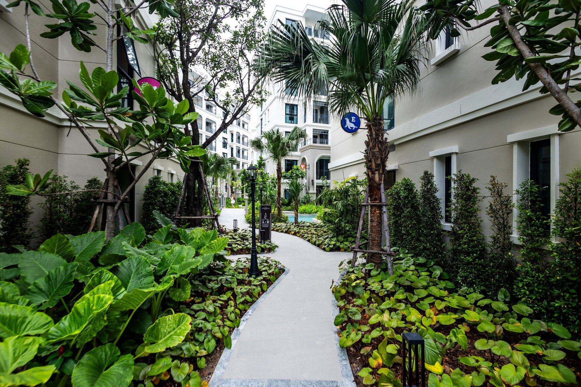 The Title Legendary (ID 589)