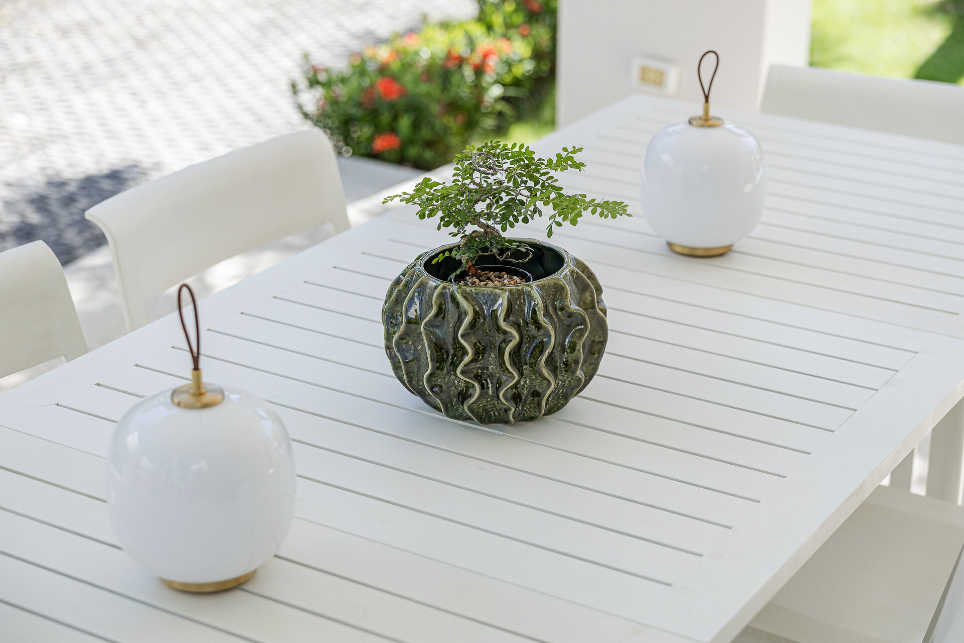 Trichada Tropical (ID 686)