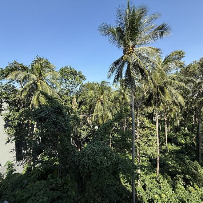 The Mida Panora G208 (ID 603)