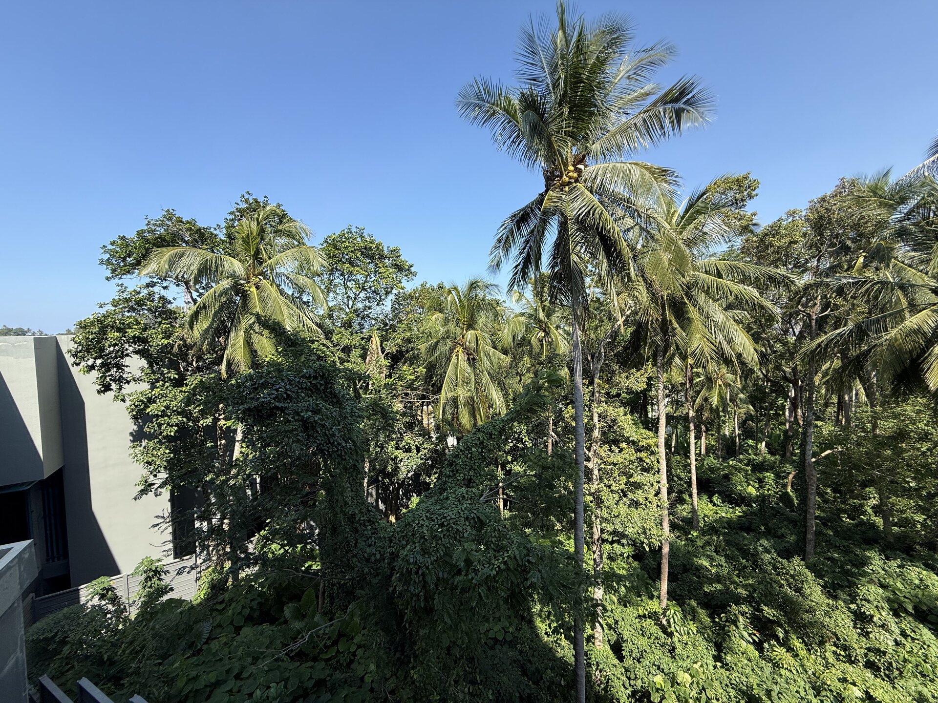 The Mida Panora G208 (ID 603)