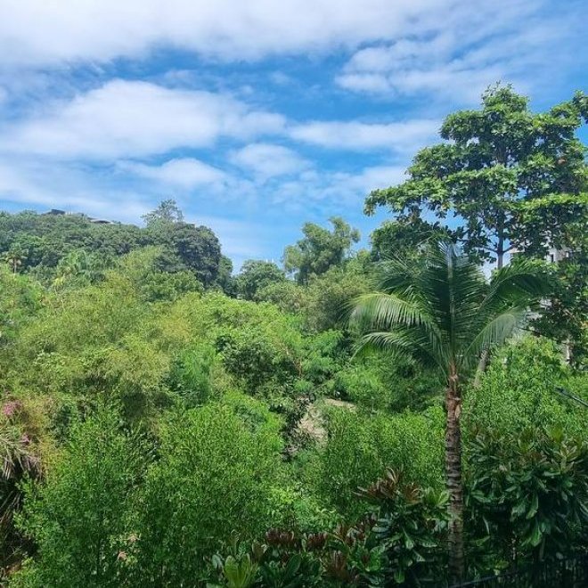 1 bedroom apartment for sale in Title V (ID 372)