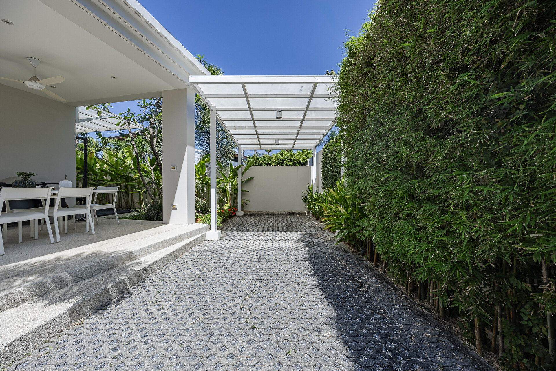 Trichada Tropical (ID 686)