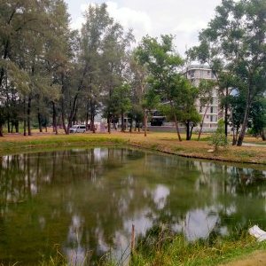 Продажа земли под строительство роскошного отеля в премиальной зоне Банг Тао (ID 417)