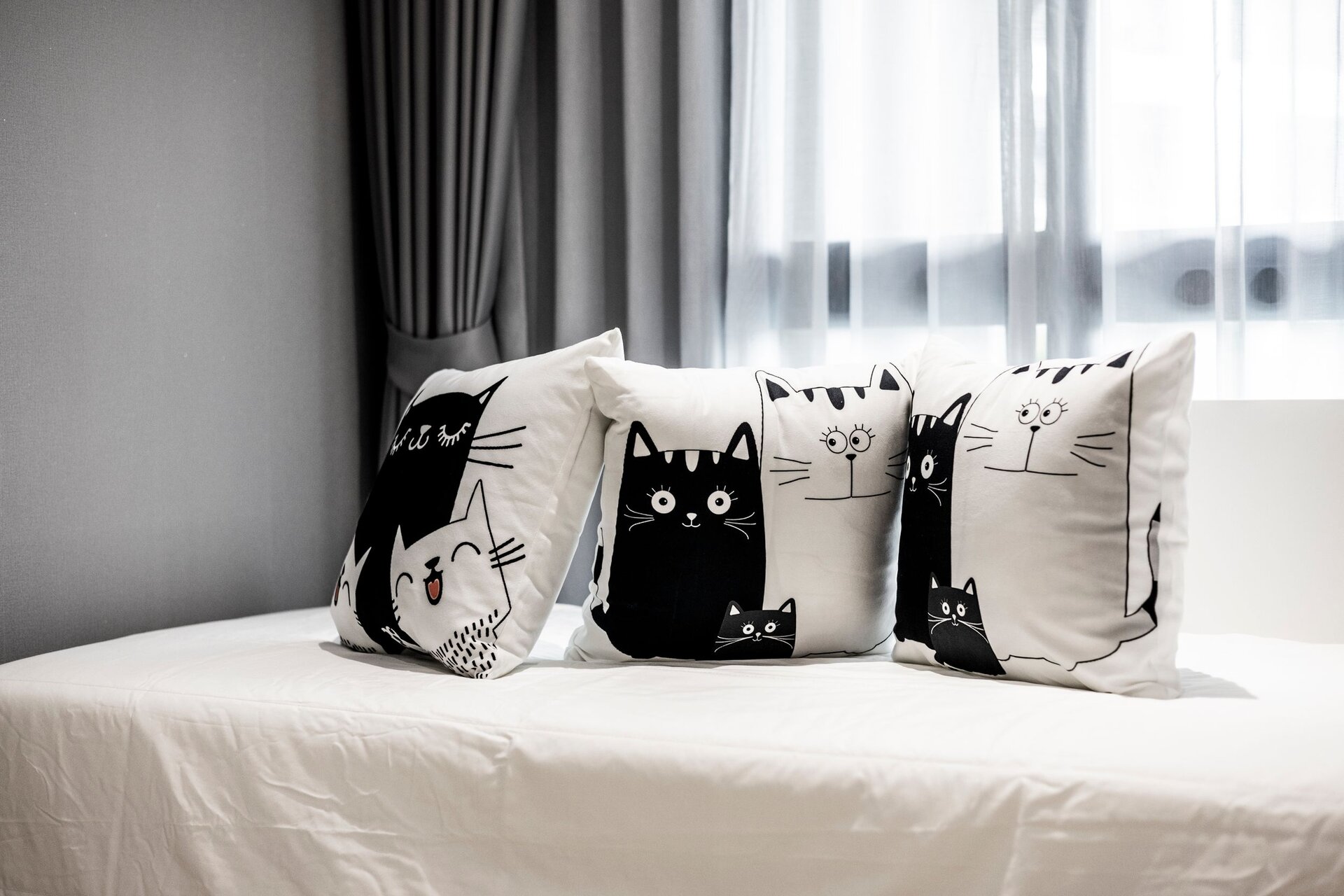 The Title Legendary (ID 558)