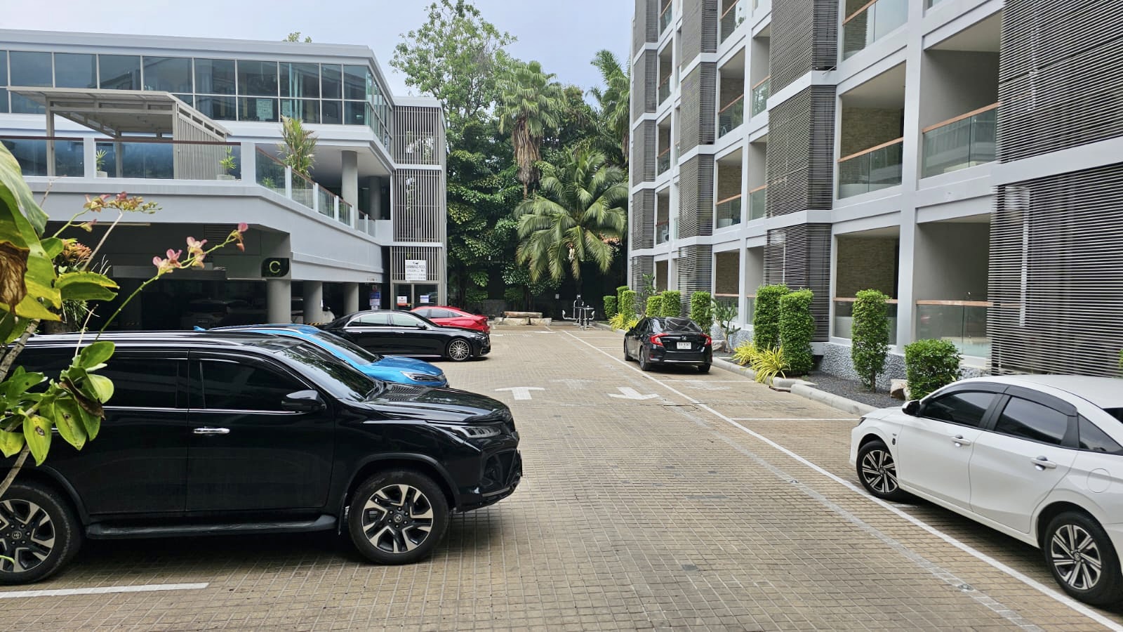 丽晶邦涛一居室公寓 (ID 110)