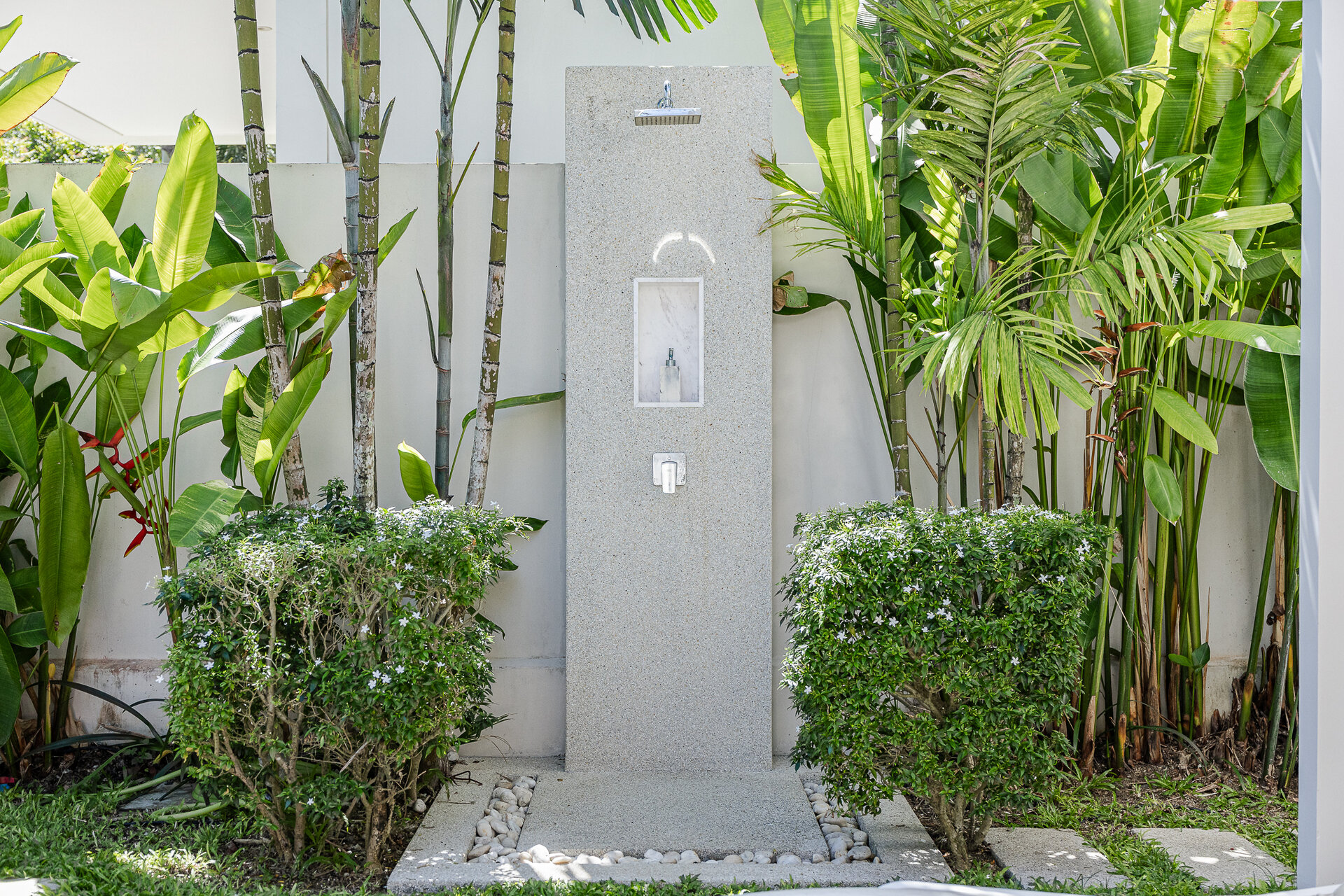 Trichada Tropical (ID 686)