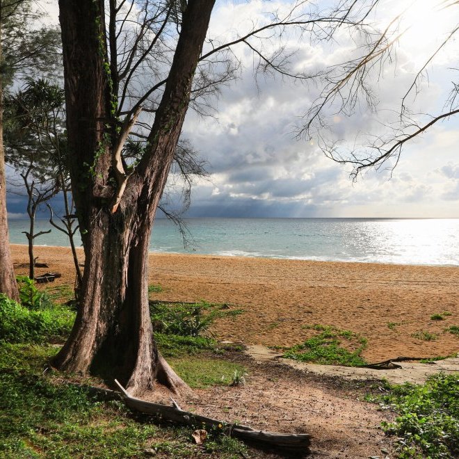 Студия The Naithon A109 — Найтон, Freehold (ID 100)