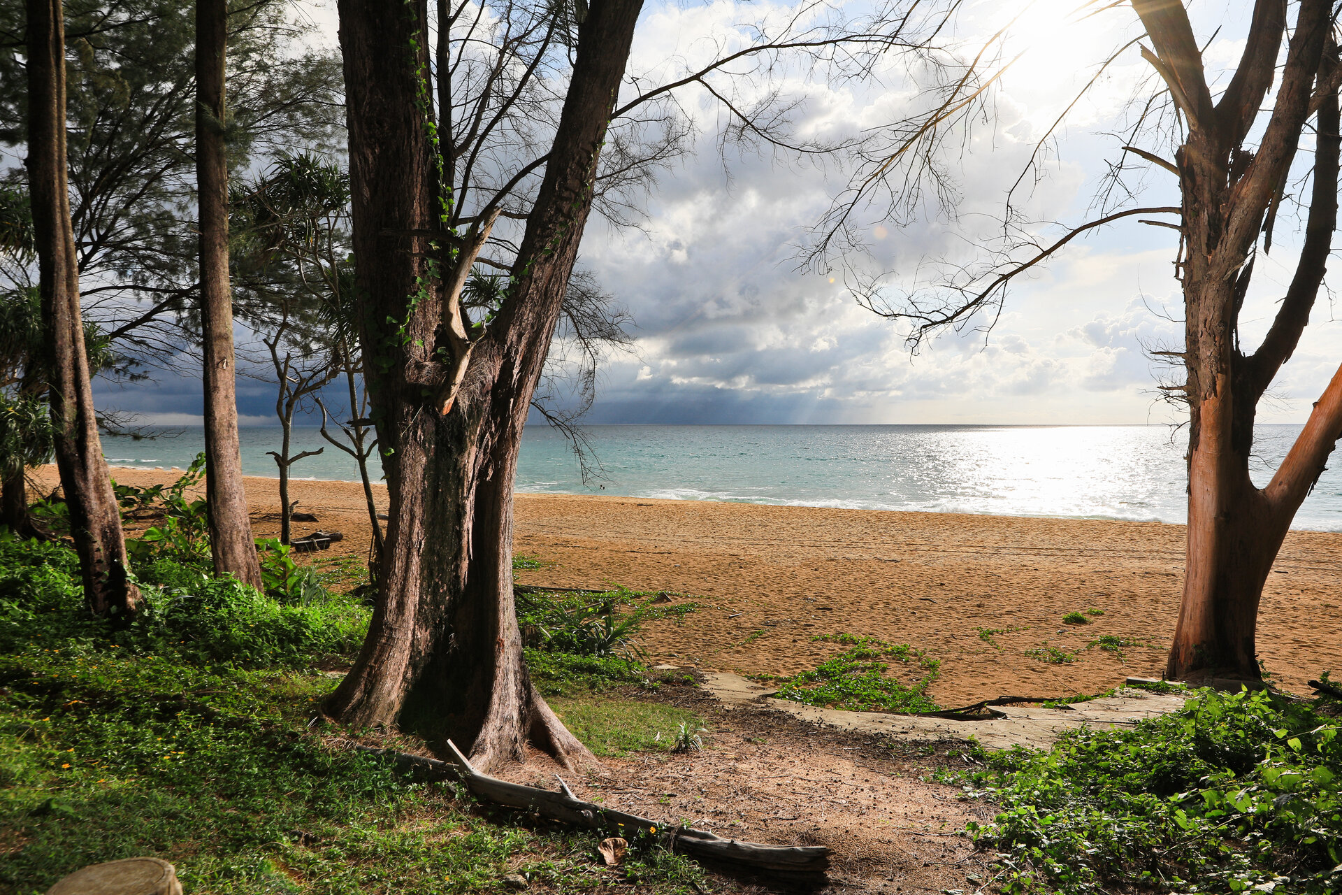 Студия The Naithon A109 — Найтон, Freehold (ID 100)