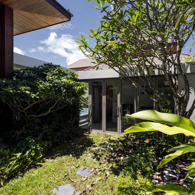 Gold Charoit (ID 554)