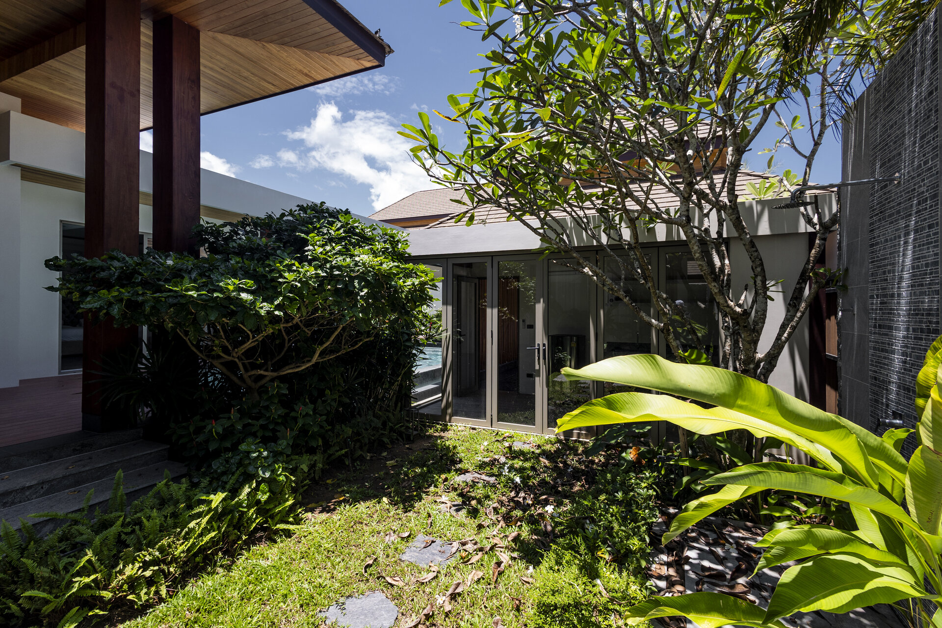 Gold Charoit (ID 554)