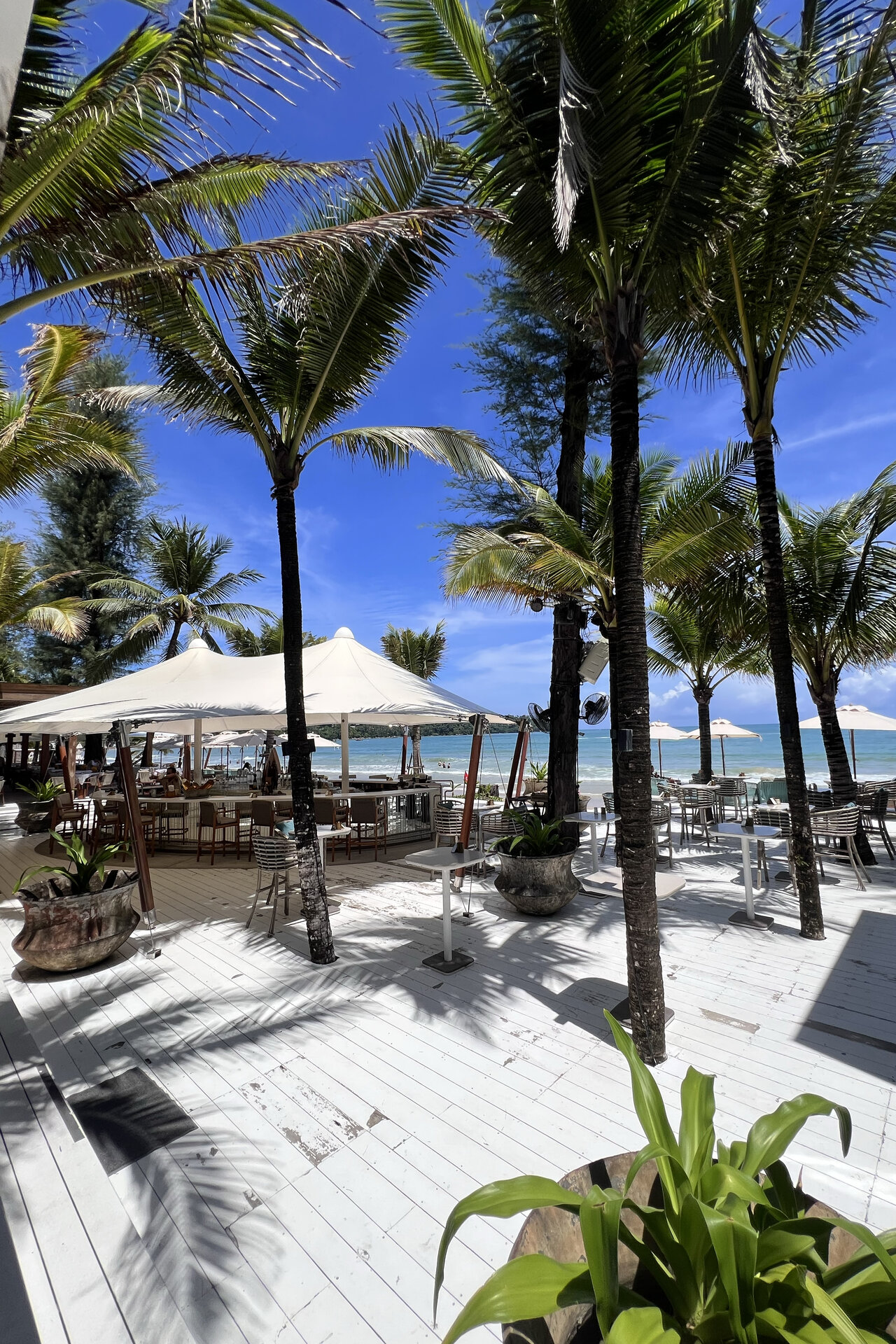 Laguna Beachside — 2 спальни, 99 м², юнит LBS2403 (ID 425)