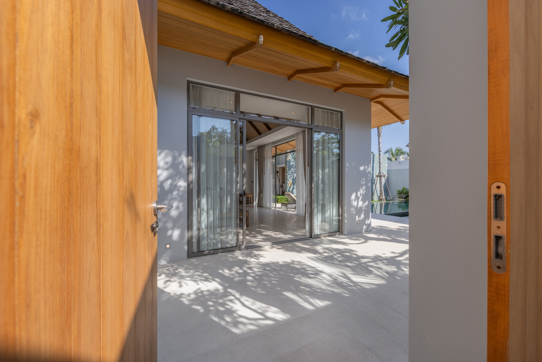 อัญชันฟลอร่า (ID 559)