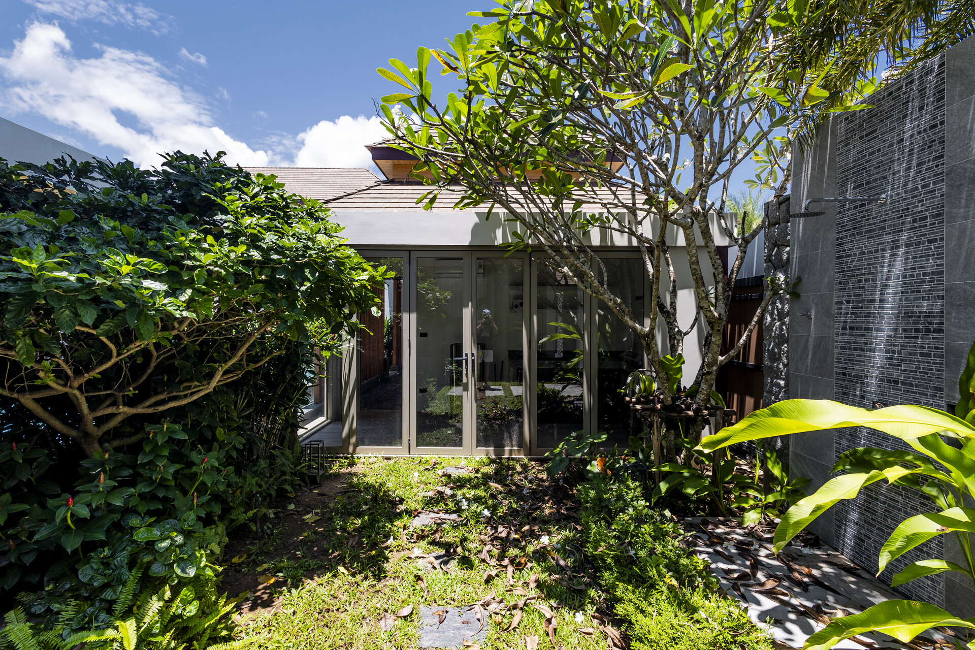 Gold Charoit (ID 554)