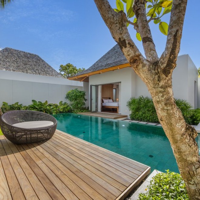 อัญชันฟลอร่า (ID 559)