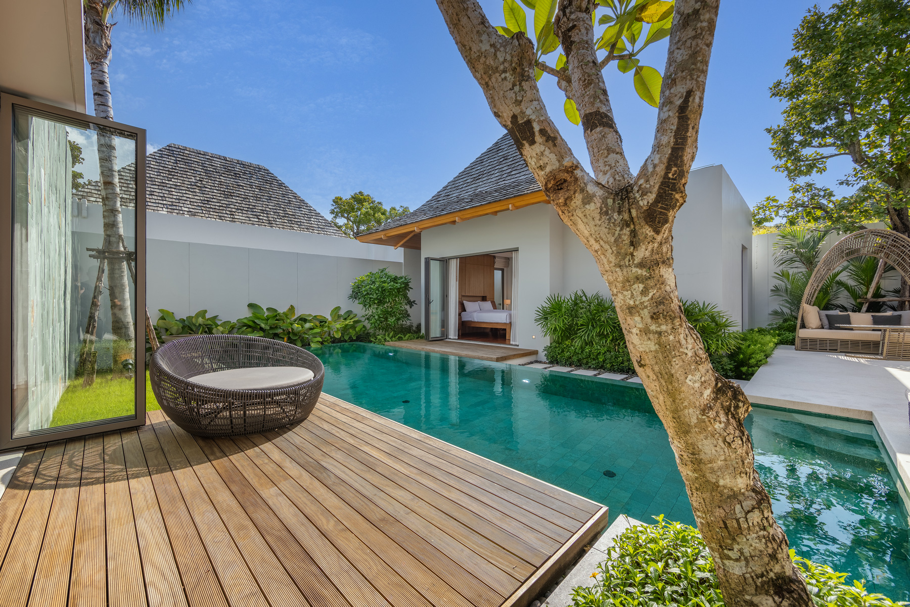 อัญชันฟลอร่า (ID 559)