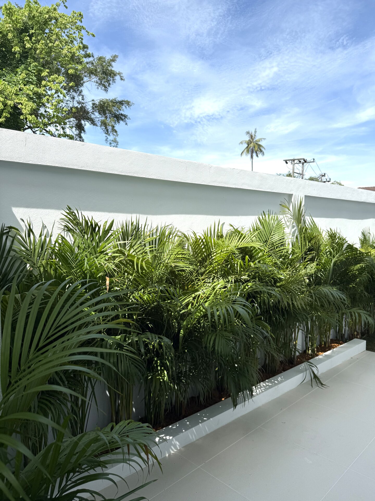 Вилла Nai Harn Residence — 3 спальни (ID 148)