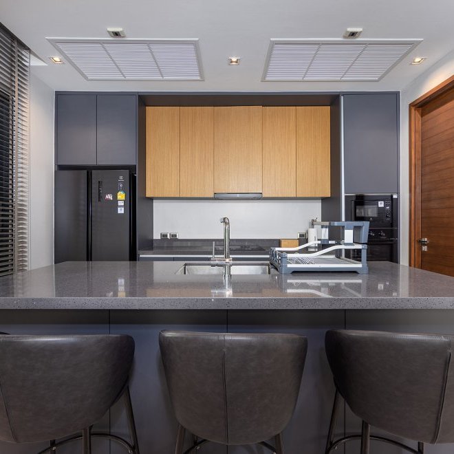 Magnum Villa в Botanica Modern Loft II (ID 703)