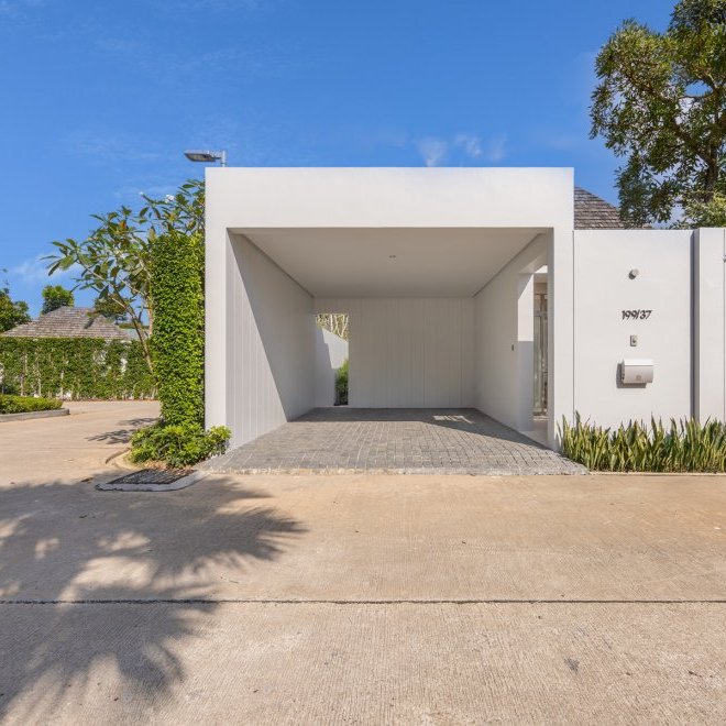 อัญชันฟลอร่า (ID 559)