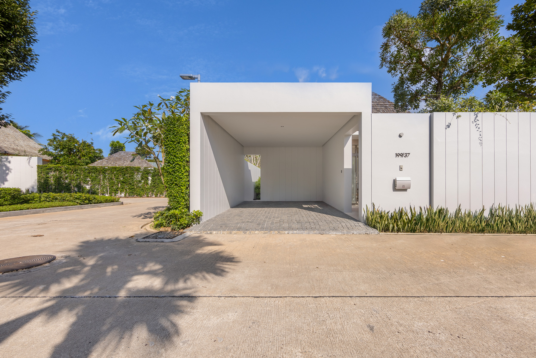 อัญชันฟลอร่า (ID 559)