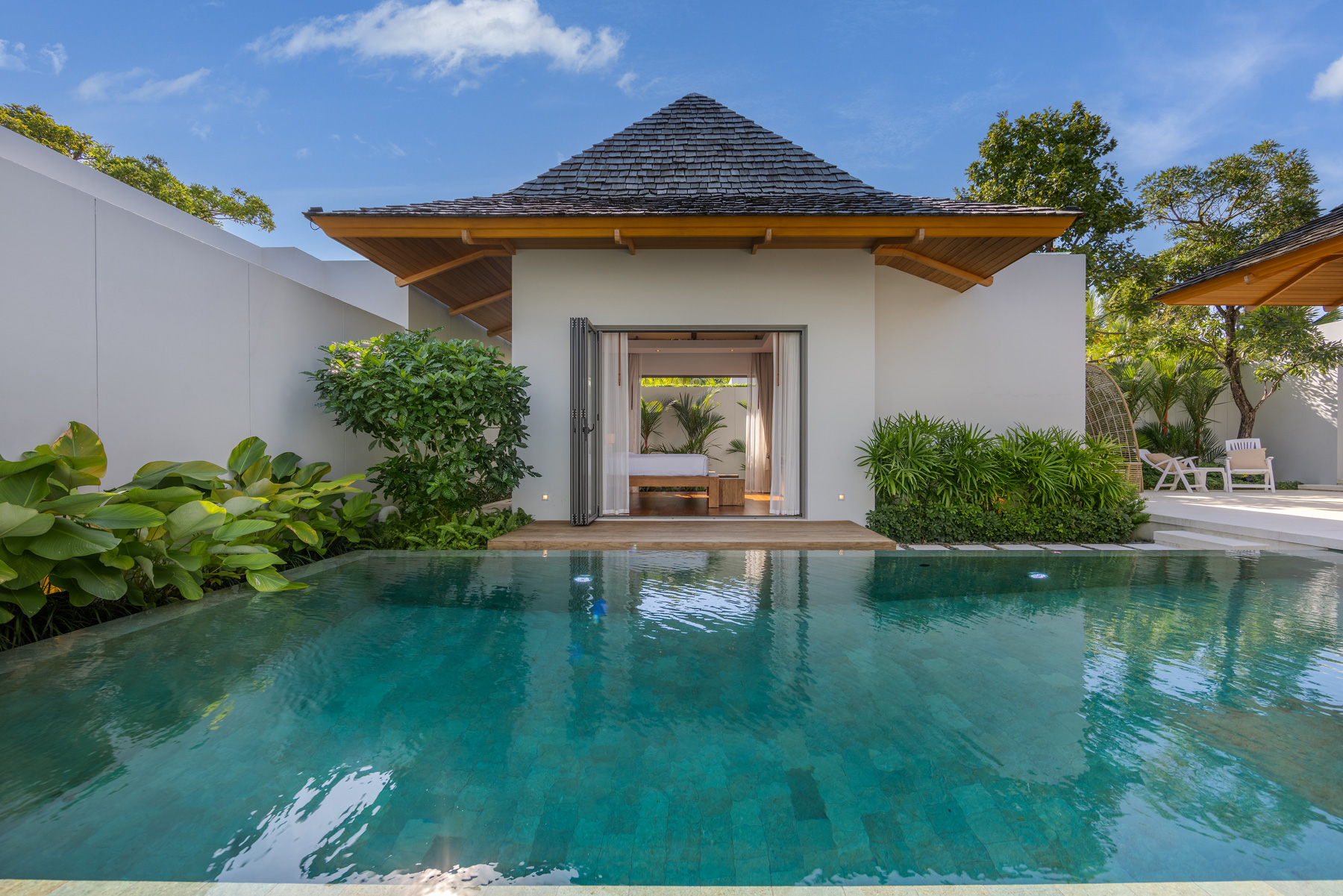 อัญชันฟลอร่า (ID 559)