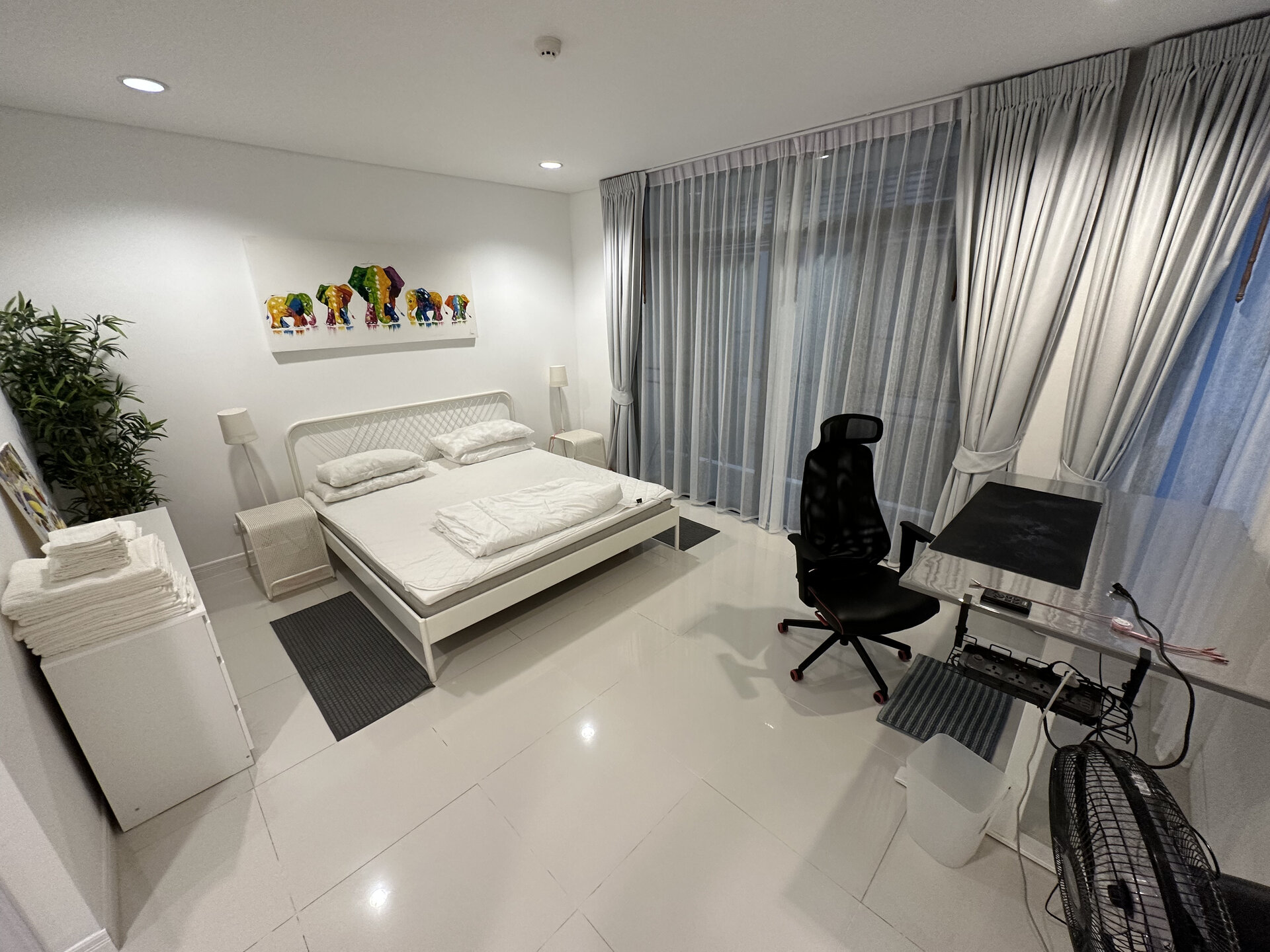 Regent Kamala (ID 555)