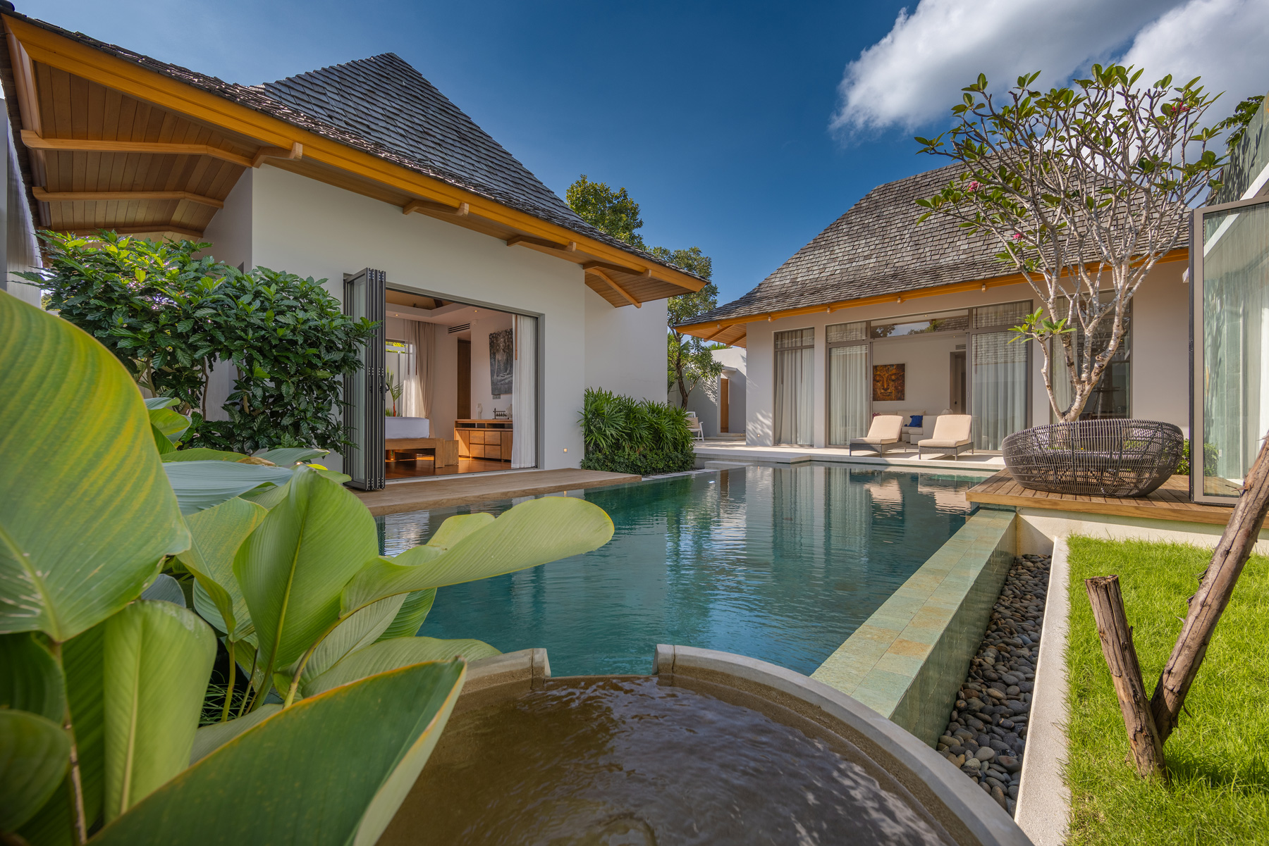 อัญชันฟลอร่า (ID 559)