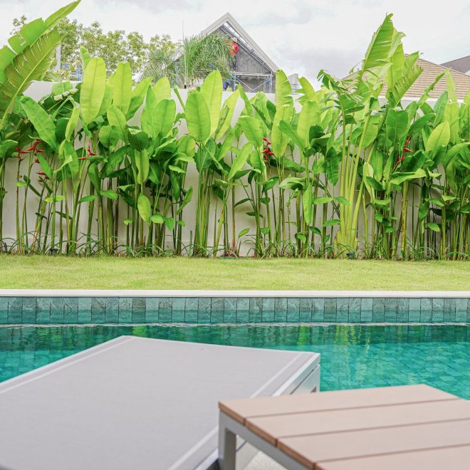 ตรีชาดาอาซัวร์ (ID 688)