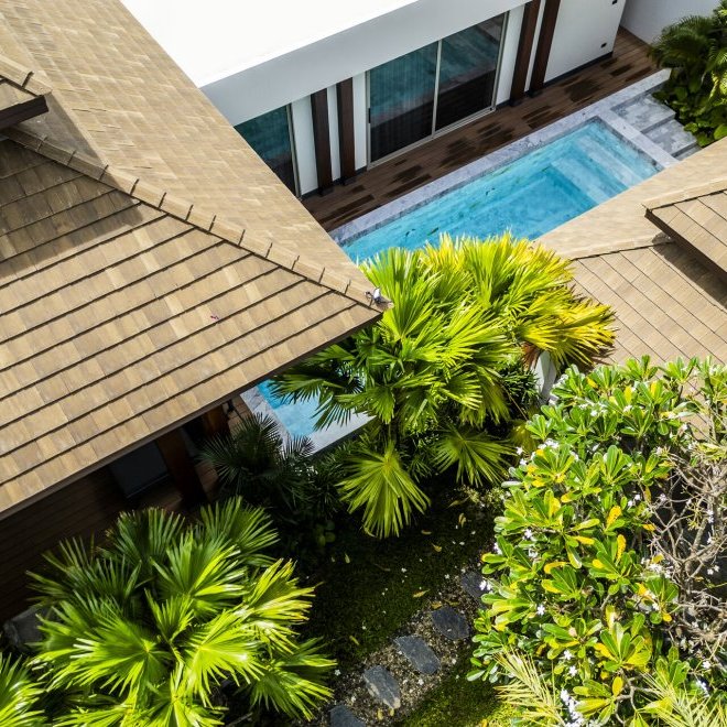 Gold Charoit (ID 554)