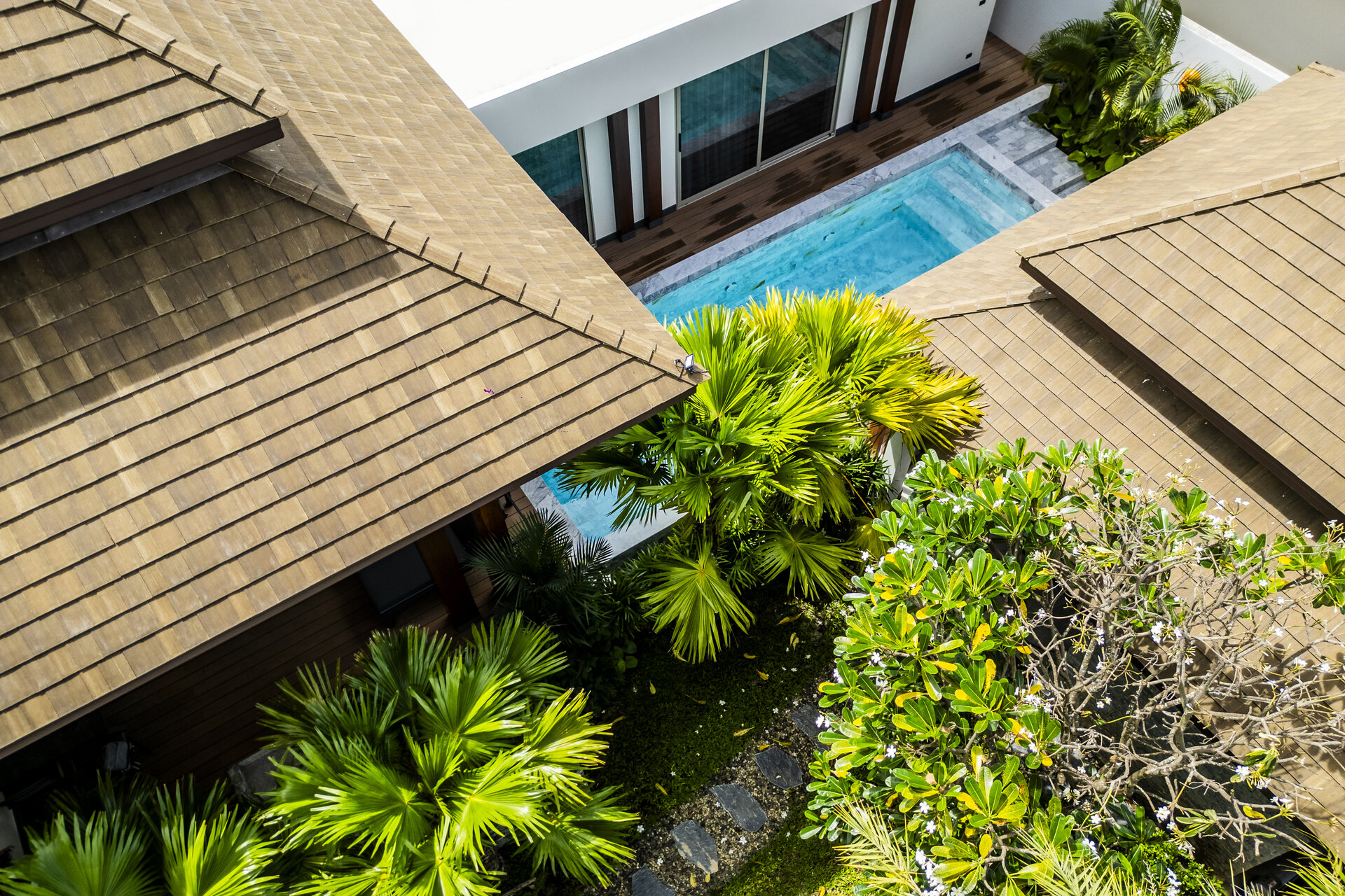 Gold Charoit (ID 554)