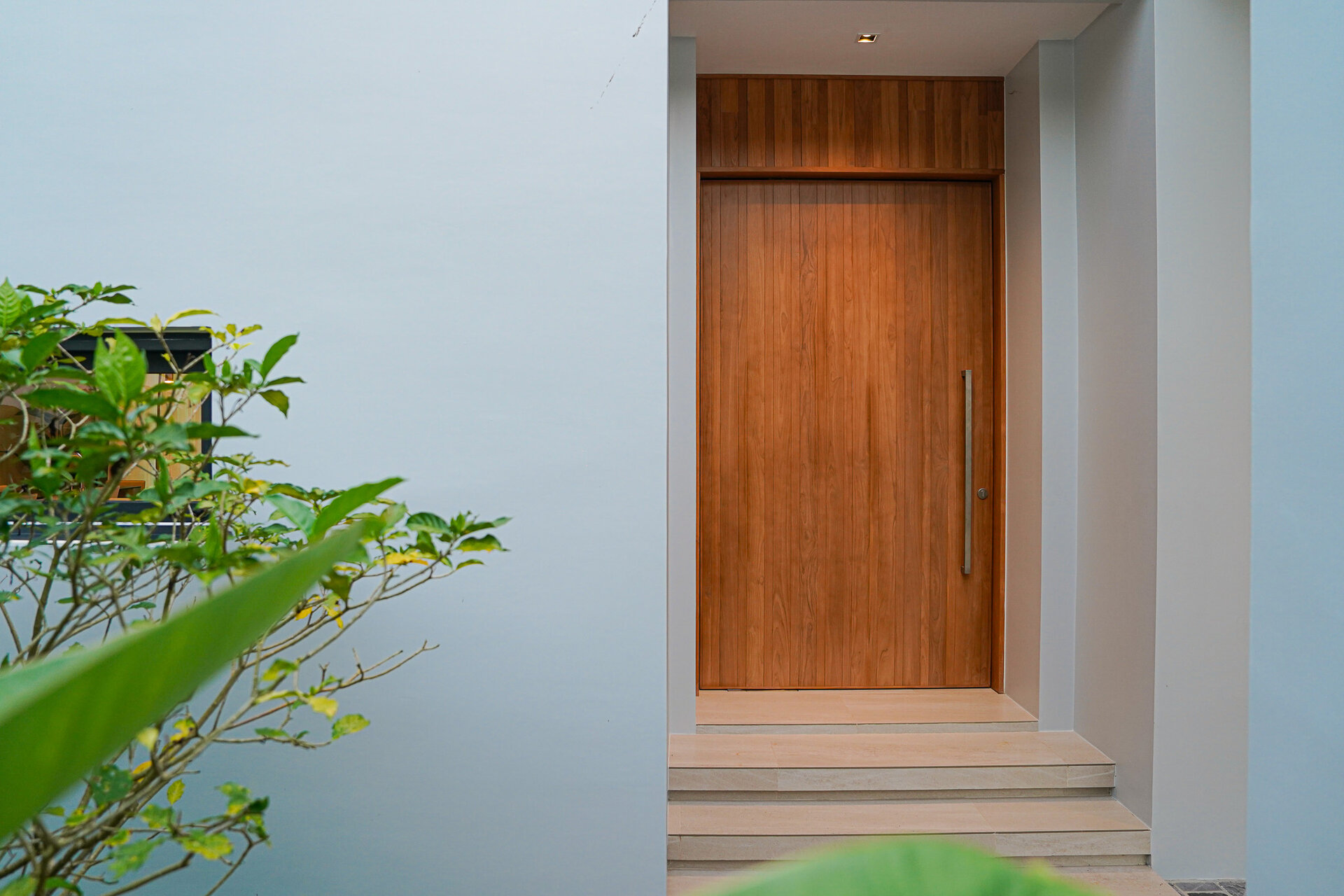 โบทานิก้าฟอเรสต้า (ID 633)