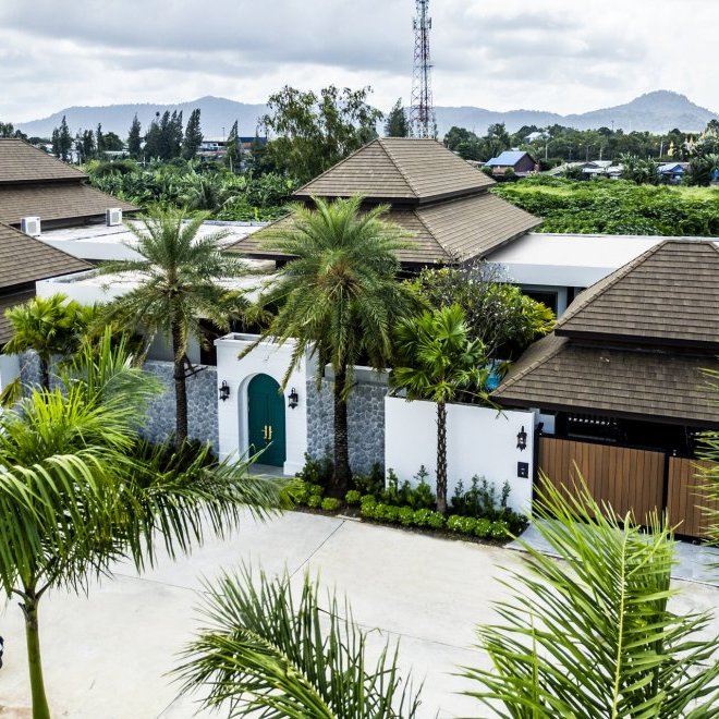 Gold Charoit (ID 554)