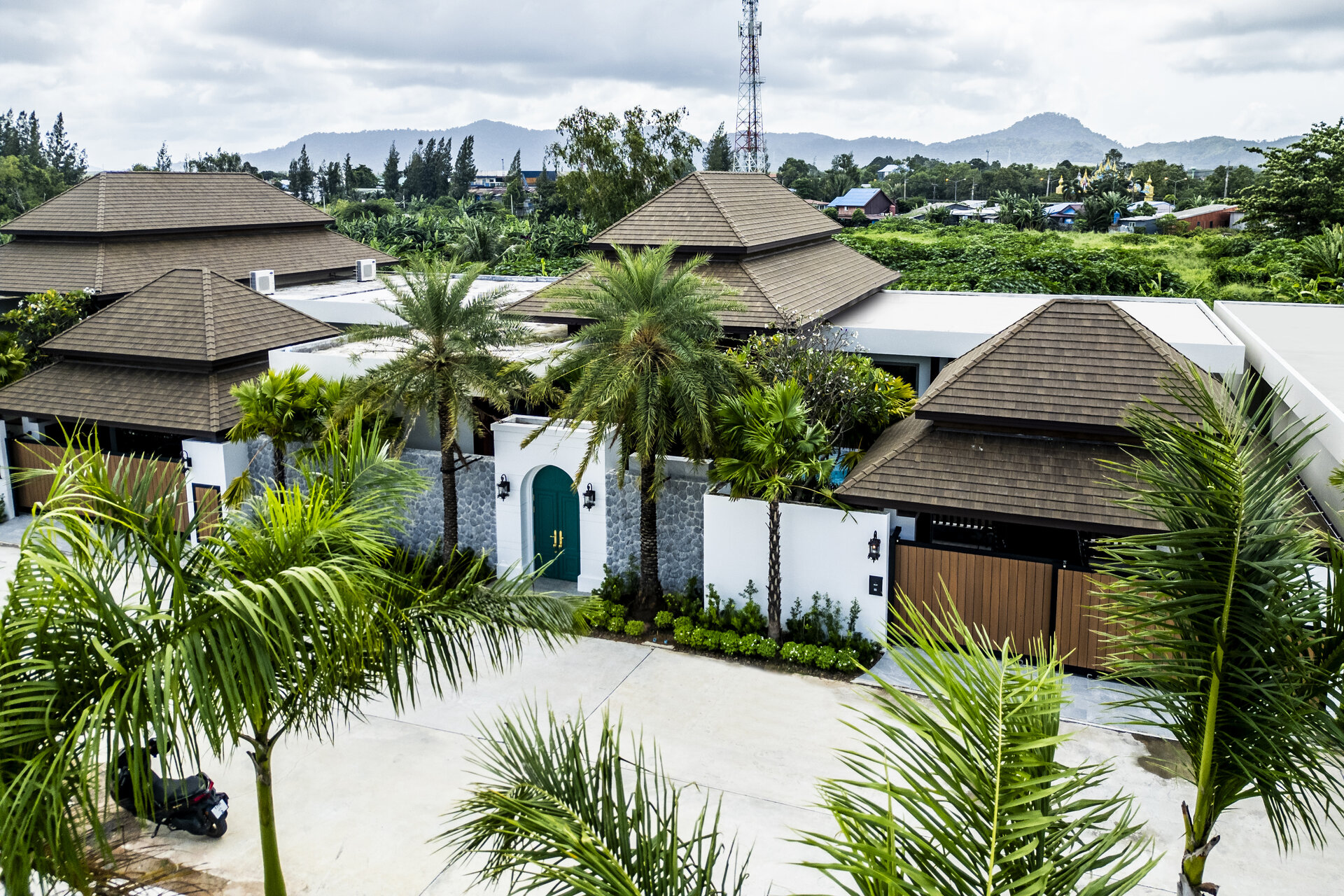 Gold Charoit (ID 554)