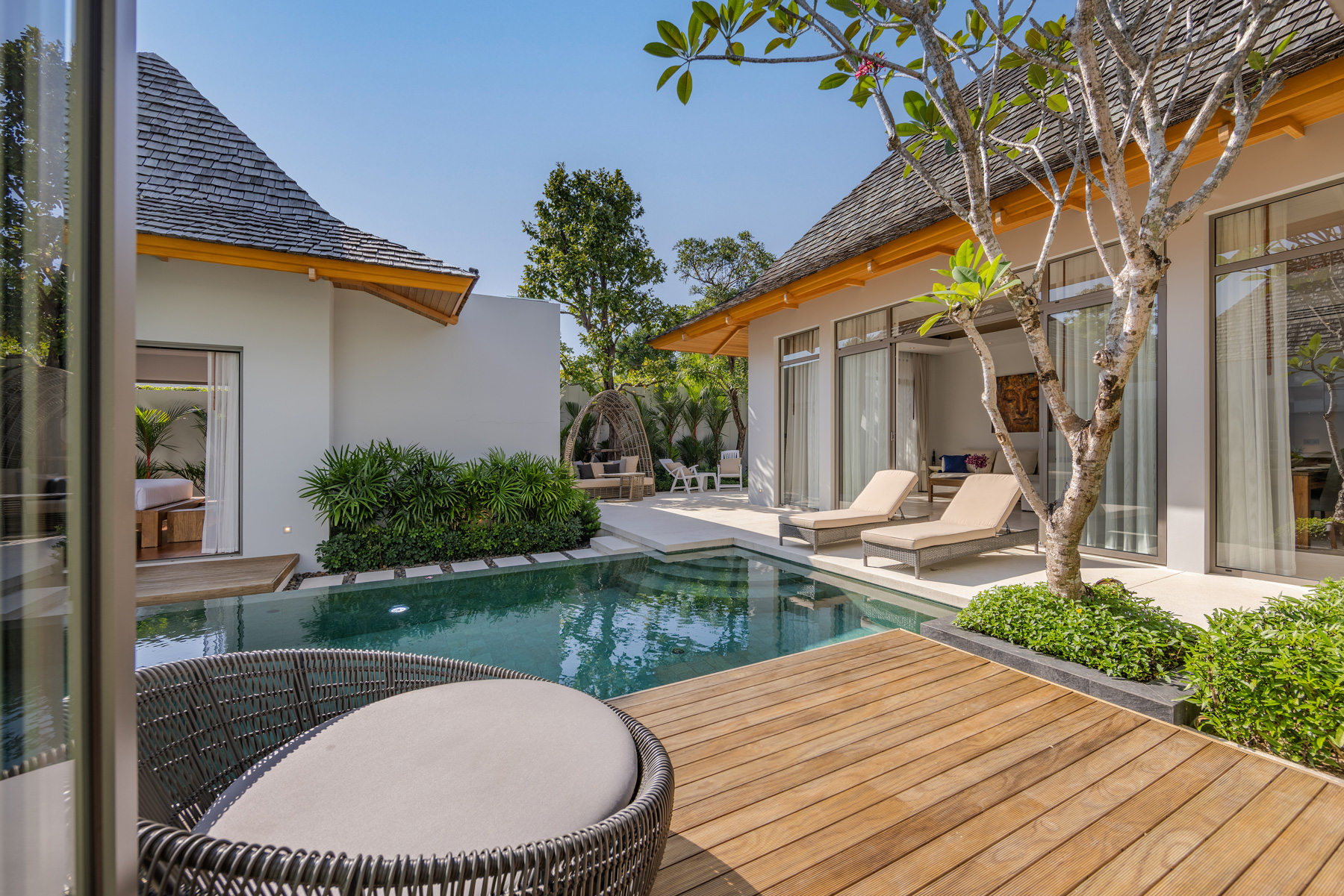 อัญชันฟลอร่า (ID 559)