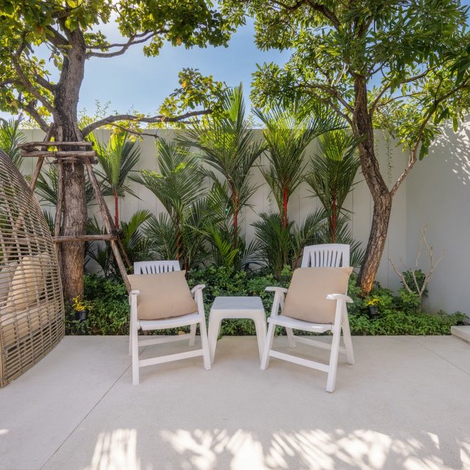 อัญชันฟลอร่า (ID 559)