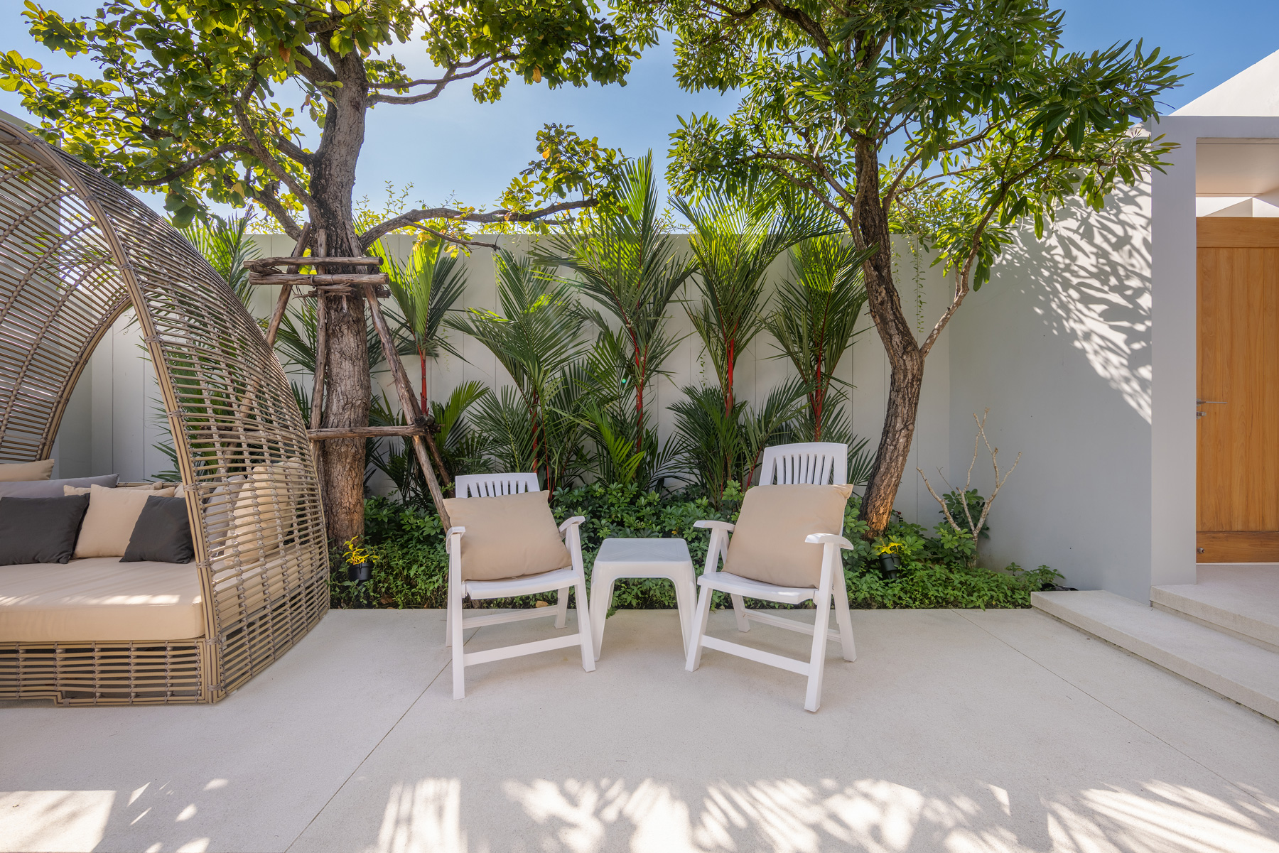 อัญชันฟลอร่า (ID 559)