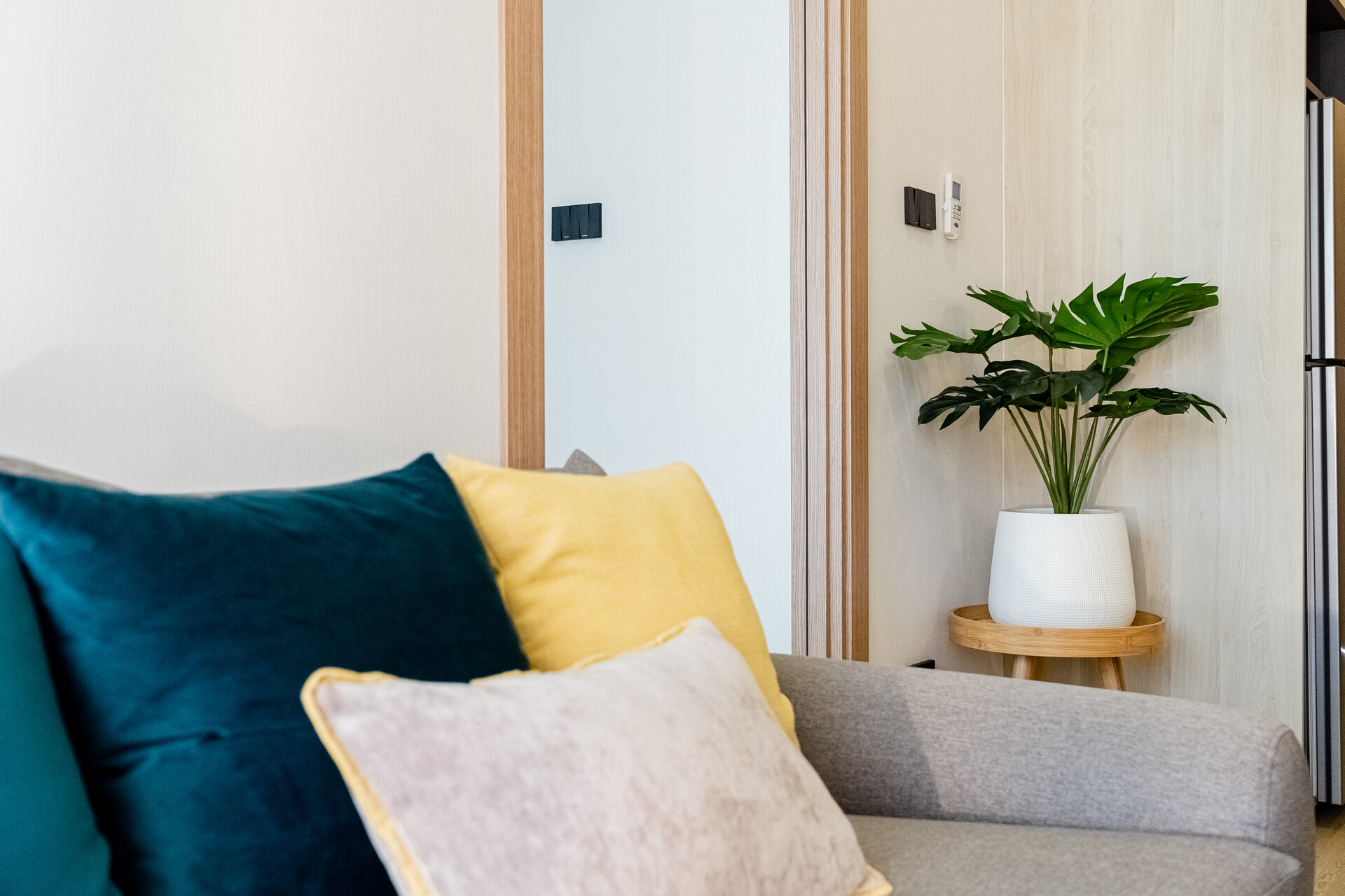 臭氧第一阶段 (ID 584)