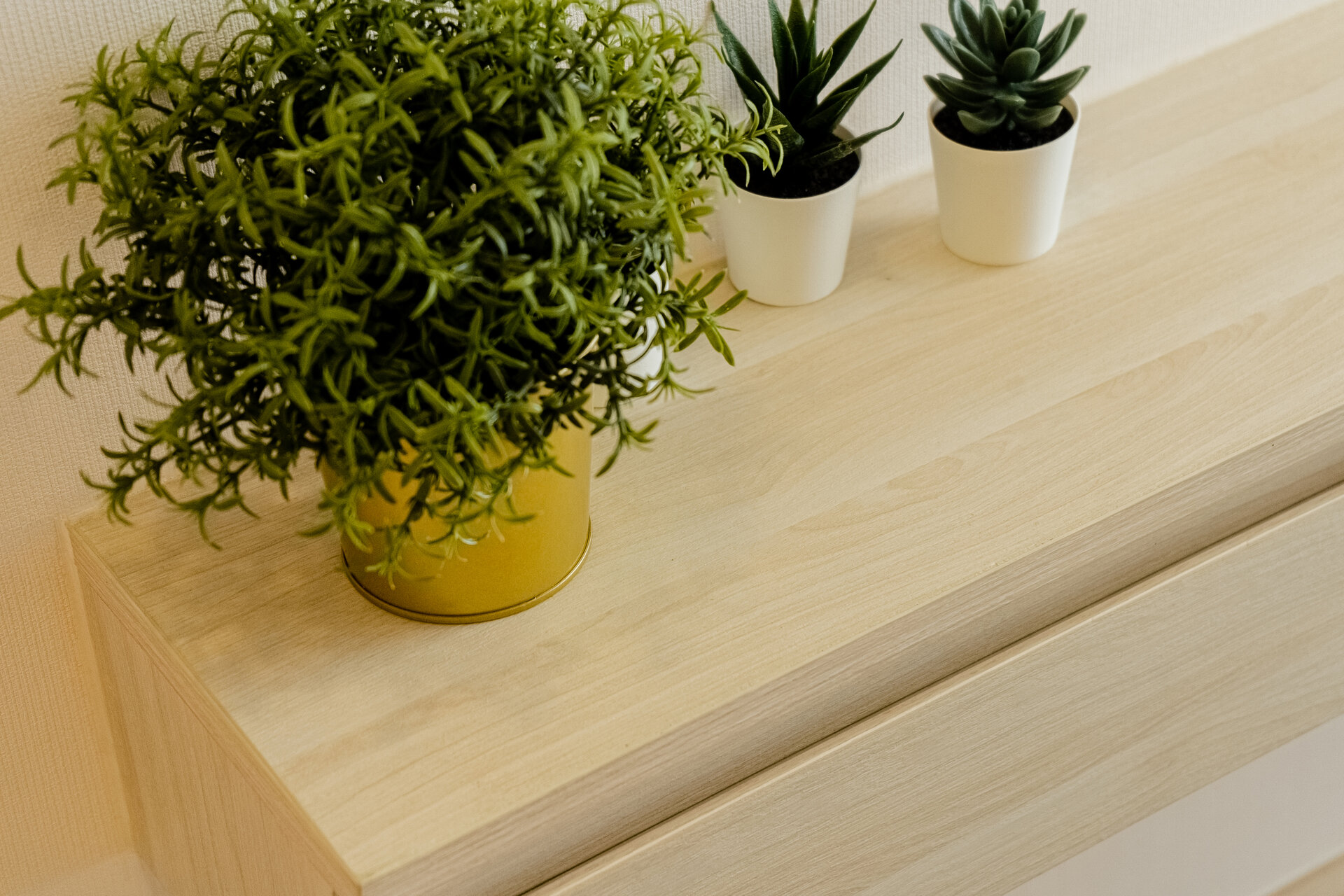 臭氧第一阶段 (ID 584)