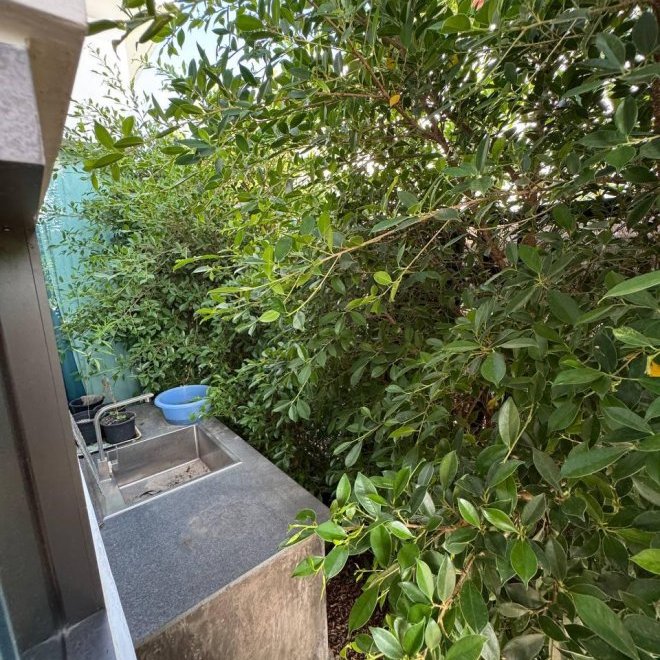 Сдается в аренду вилла The 8 pool (ID 535)