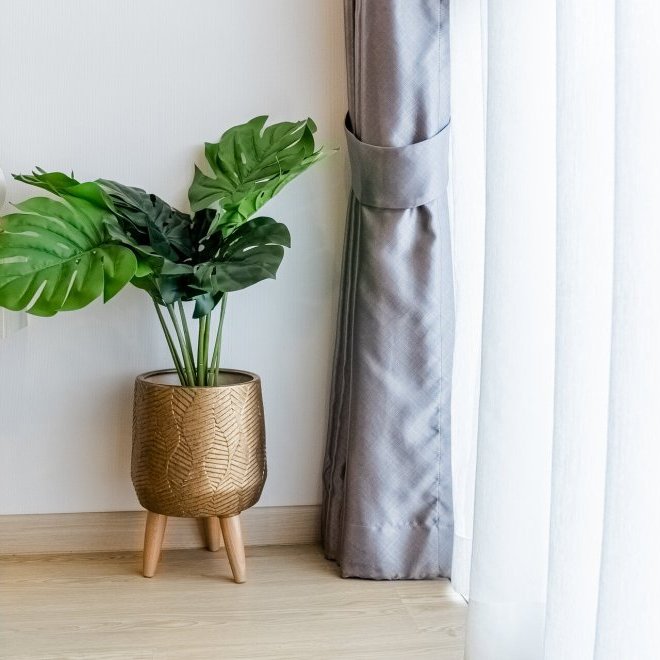 臭氧第一阶段 (ID 584)