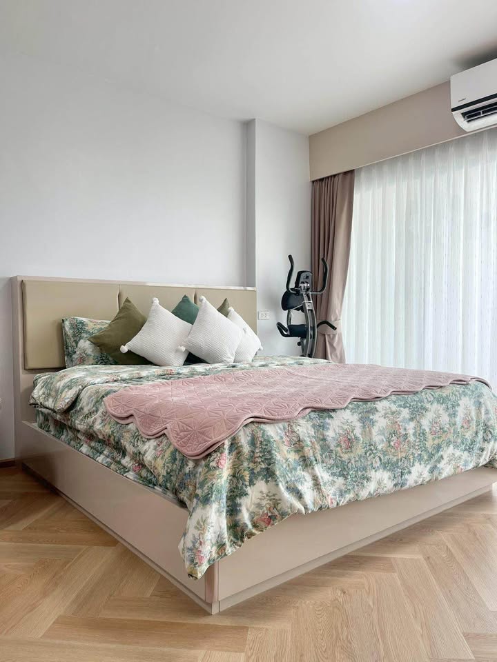 View Talay 5D (ID 674)