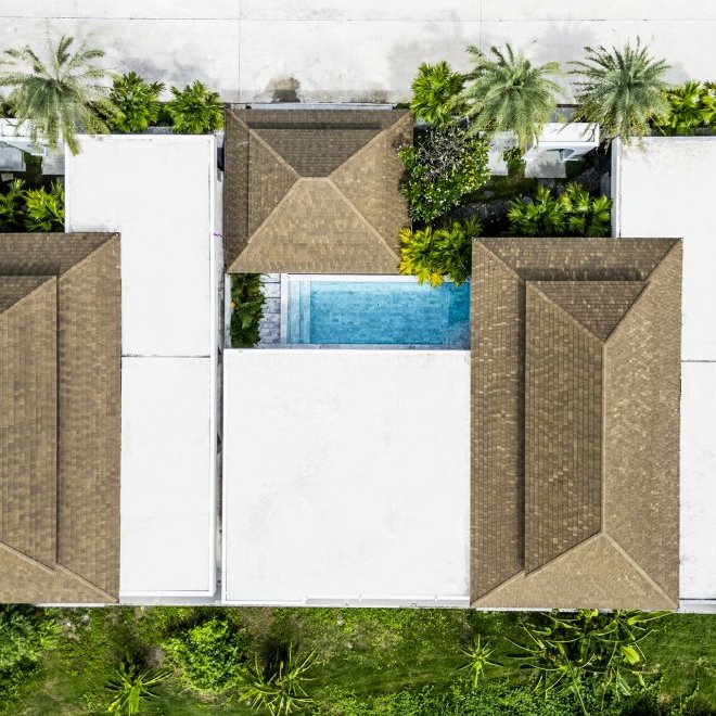 Gold Charoit (ID 554)