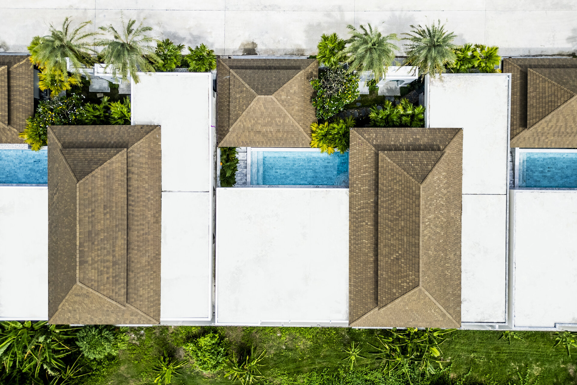 Gold Charoit (ID 554)